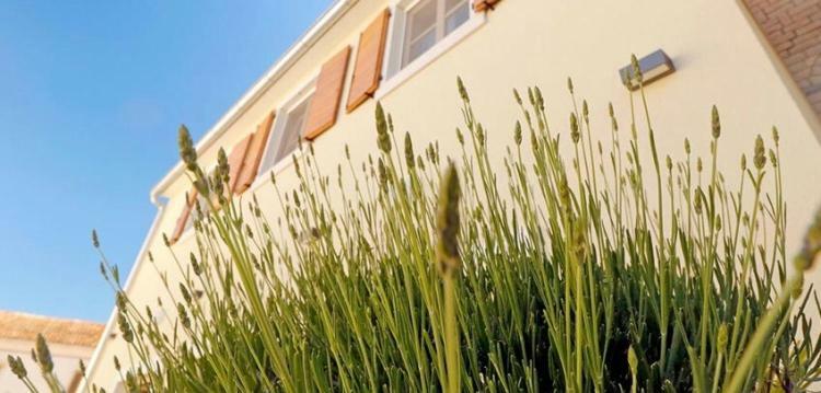 Studio Apartman Dado Apartment Bale Exterior foto