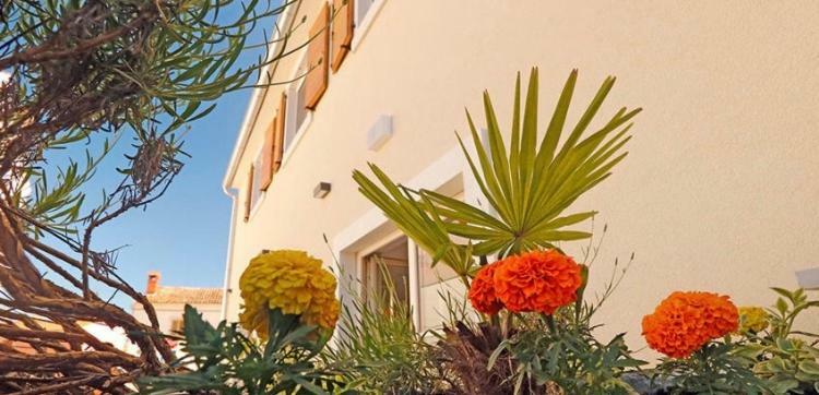 Studio Apartman Dado Apartment Bale Exterior foto